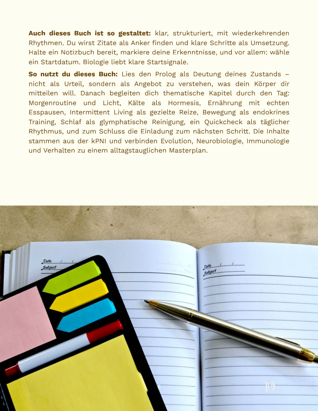Flyer Seite 5