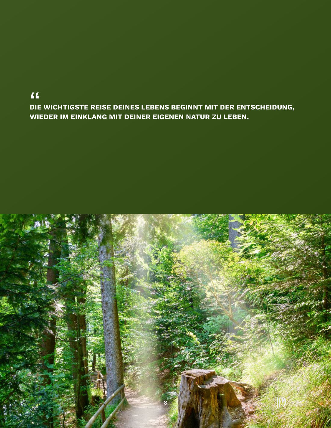 Flyer Seite 8