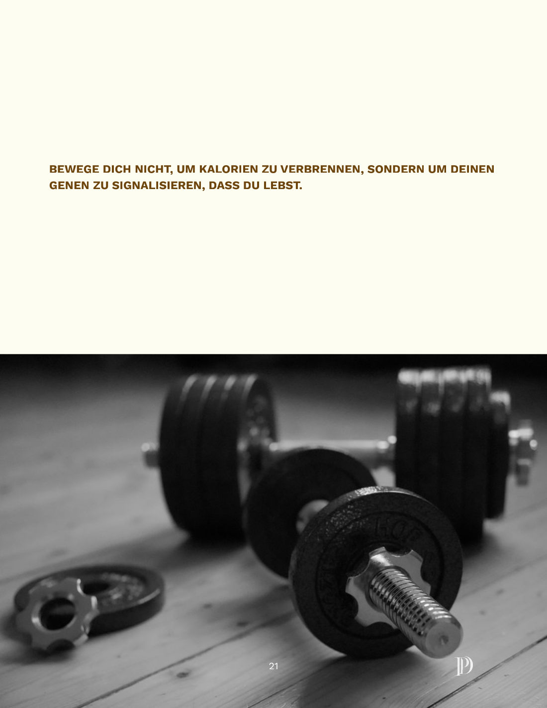 Flyer Seite 21